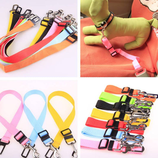 TJ Fixed Strap Polyester Dog Strap Dog Leash Dog Leash